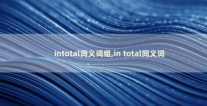 intotal同义词组,in total同义词